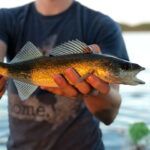 Fishing Frenzy with John Harrell