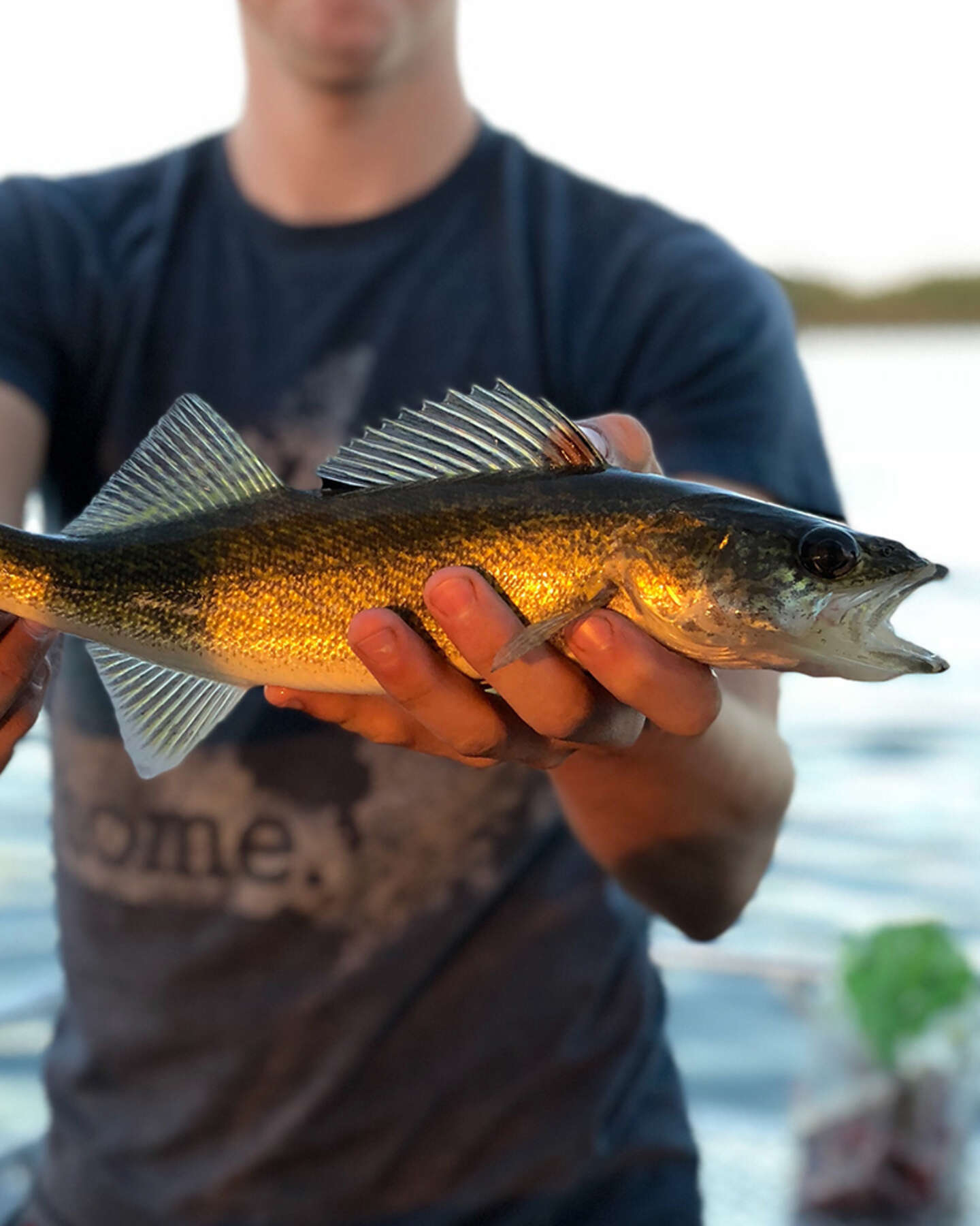 Fishing Frenzy with John Harrell